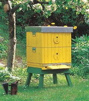 Östervåla-beehive Extra box, Norwegian