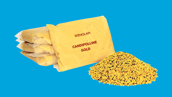 Candipolline 12x1kg