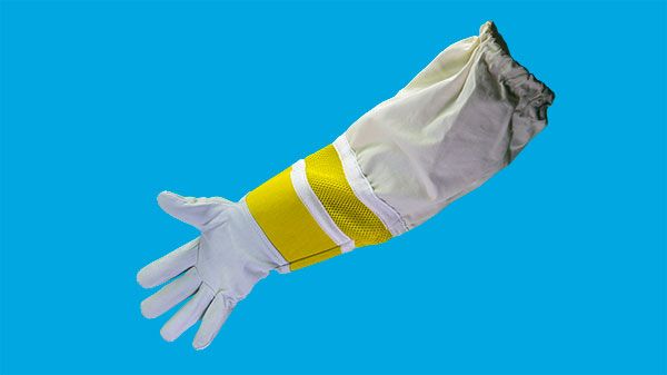 Gloves, lamb nappa