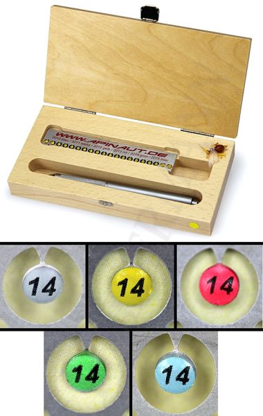 Magnetic pen set for queen bee breeding