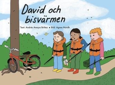 David and the bee swarm, childrens book