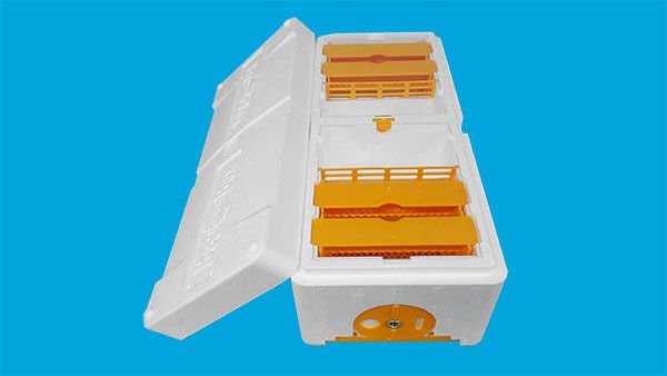 Beebox, queen bee breeding hive twin Per pcs